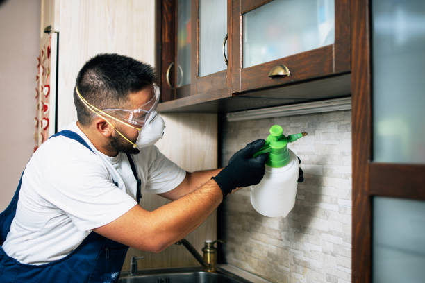 Best Bed Bug Extermination  in University Of Lifornia Santa Barbara, CA