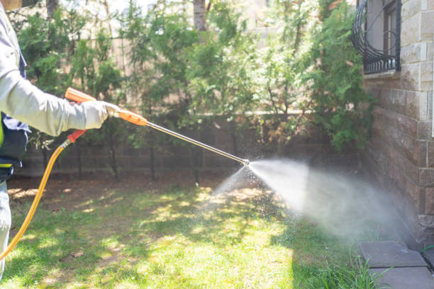 Best Best Pest Control Companies  in University Of Lifornia Santa Barbara, CA