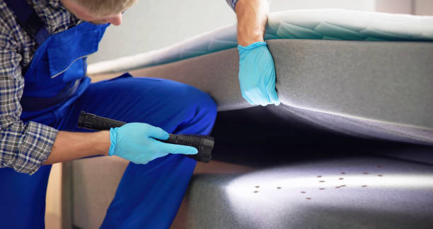 Best Pest Control Near Me  in University Of Lifornia Santa Barbara, CA