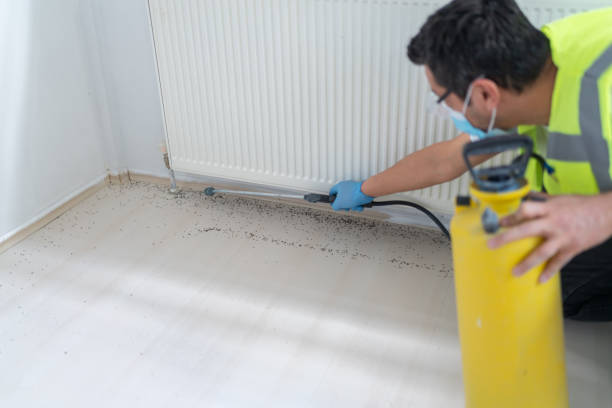 Flea Control Services in University Of California Santa Barbara, CA